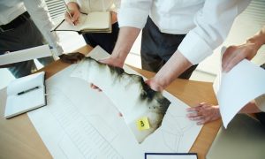 Проектирование ЦОД: ключевые аспекты и преимущества